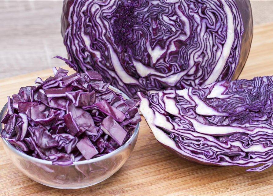 Brassica oleracea cap. f. Rubra Rooki F1