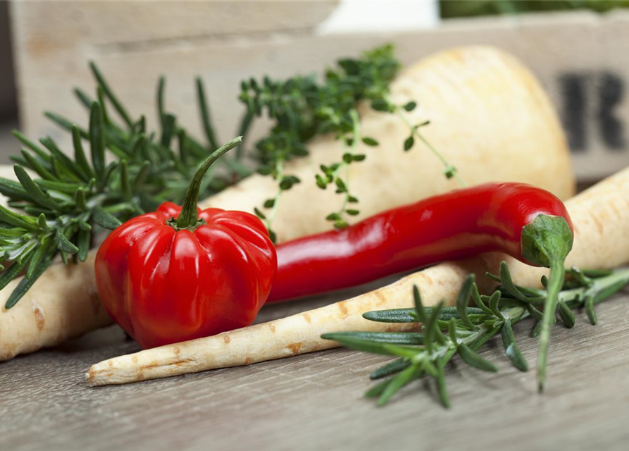 Capsicum Annuum var. longum