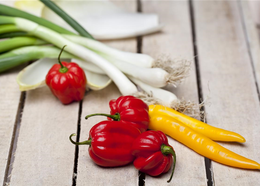 Capsicum Annuum var. longum