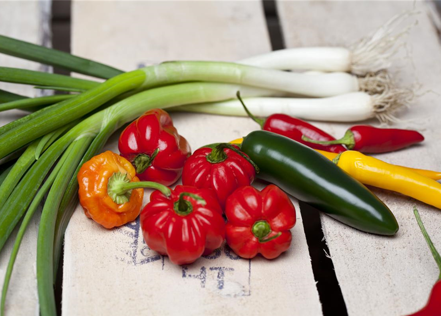 Capsicum Annuum var. longum