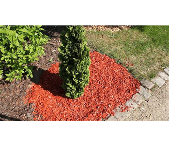 Mulch - Einsatz im Garten