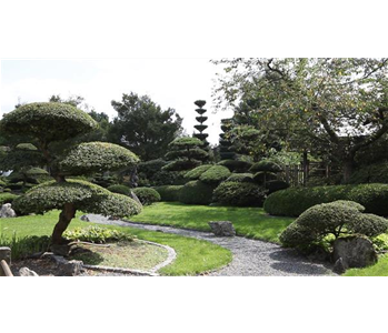 Gartengestaltung - Japangarten