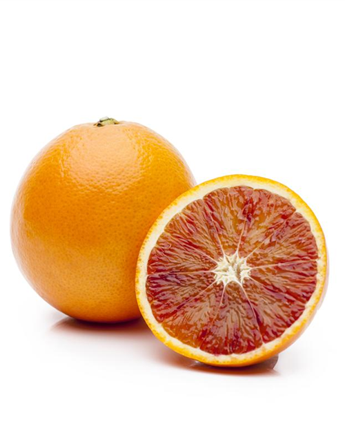 Citrus sinensis Sanguinello Stamm