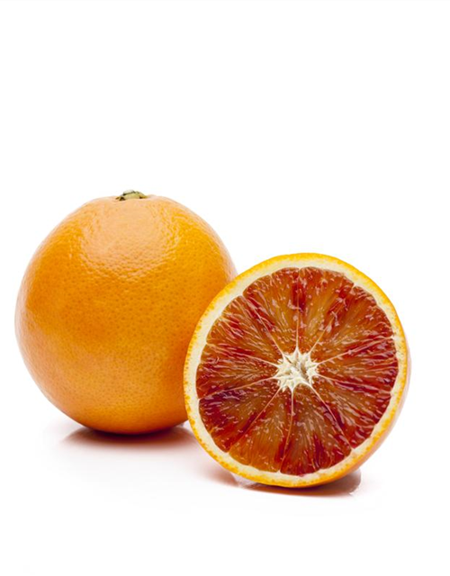 Citrus sinensis Tarocco Stamm