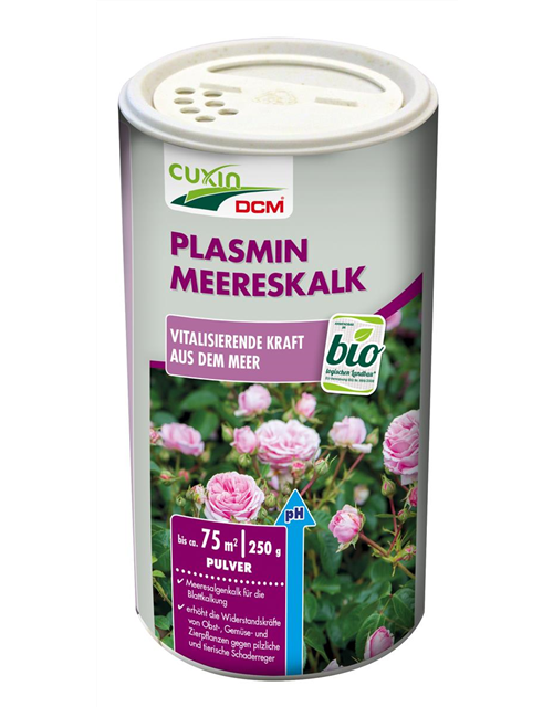 (Alogo)-Plasmin Meereskalk