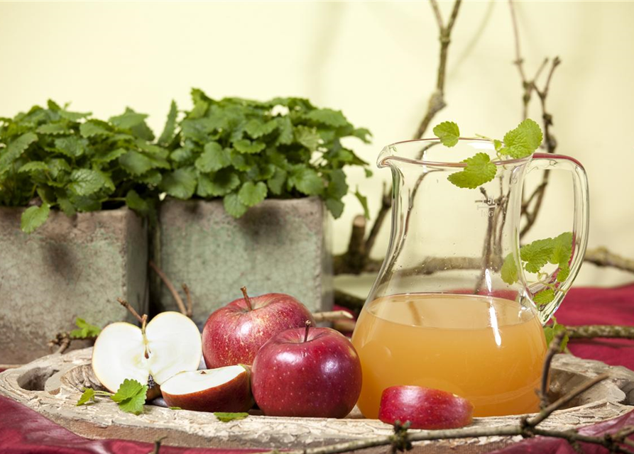 Malus domestica Braeburn