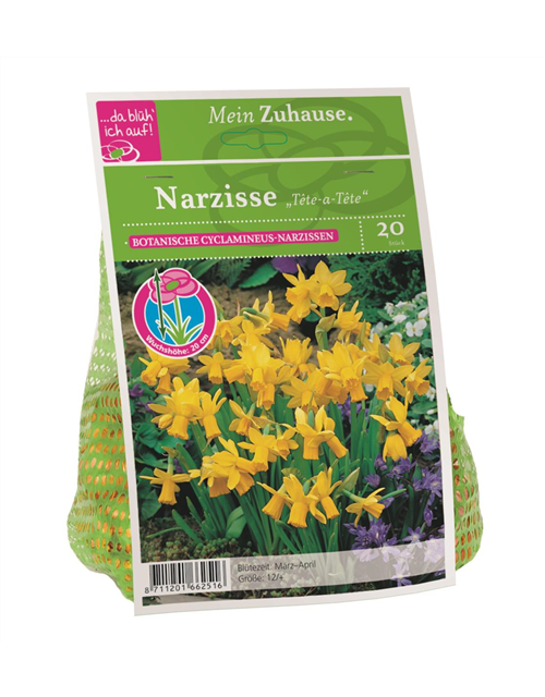 Narcissus Tete da tete x20 12/+