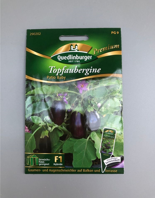 Aubergine Topf Patio Baby