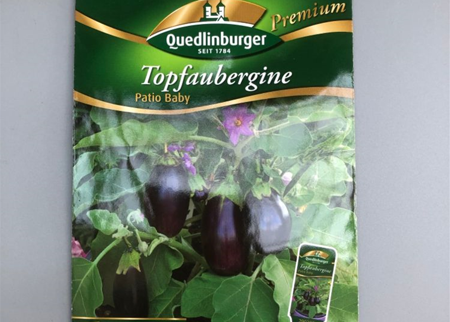 Aubergine Topf Patio Baby