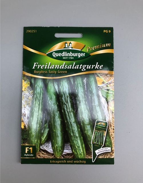 Freilandsalatgurke BurplTastyGreen