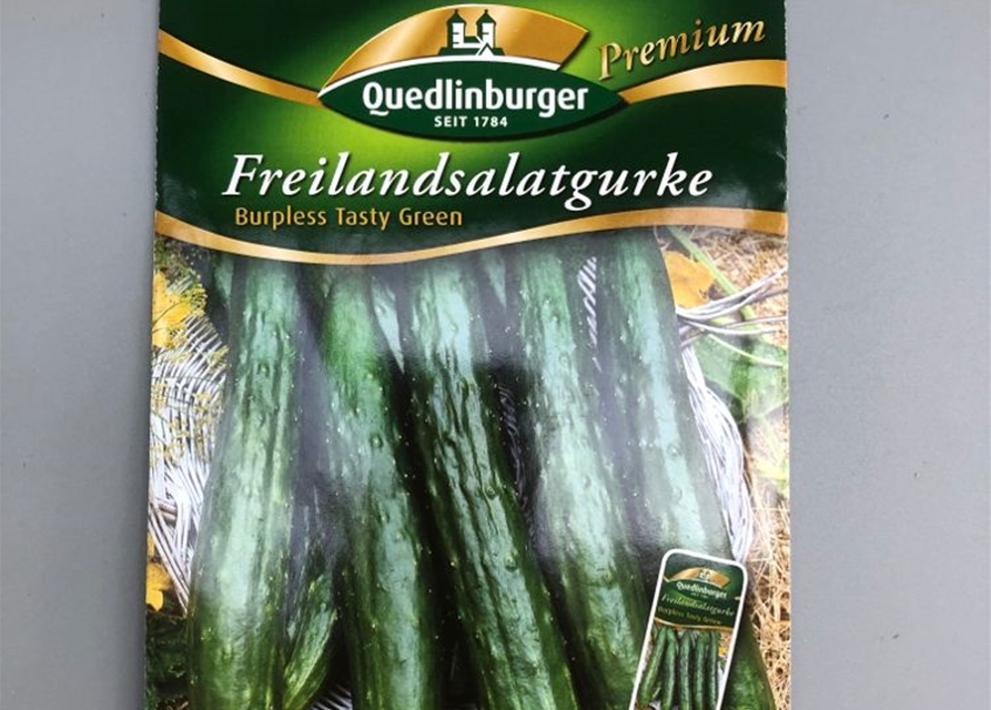 Freilandsalatgurke BurplTastyGreen