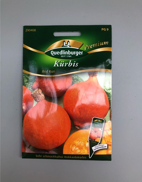 Kürbis red Kuri