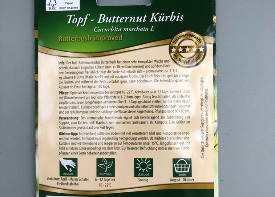 Kürbis Topf- Butternut