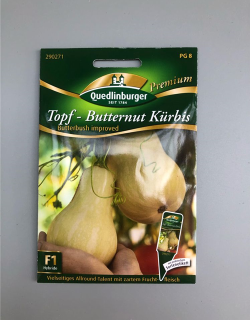 Kürbis Topf- Butternut