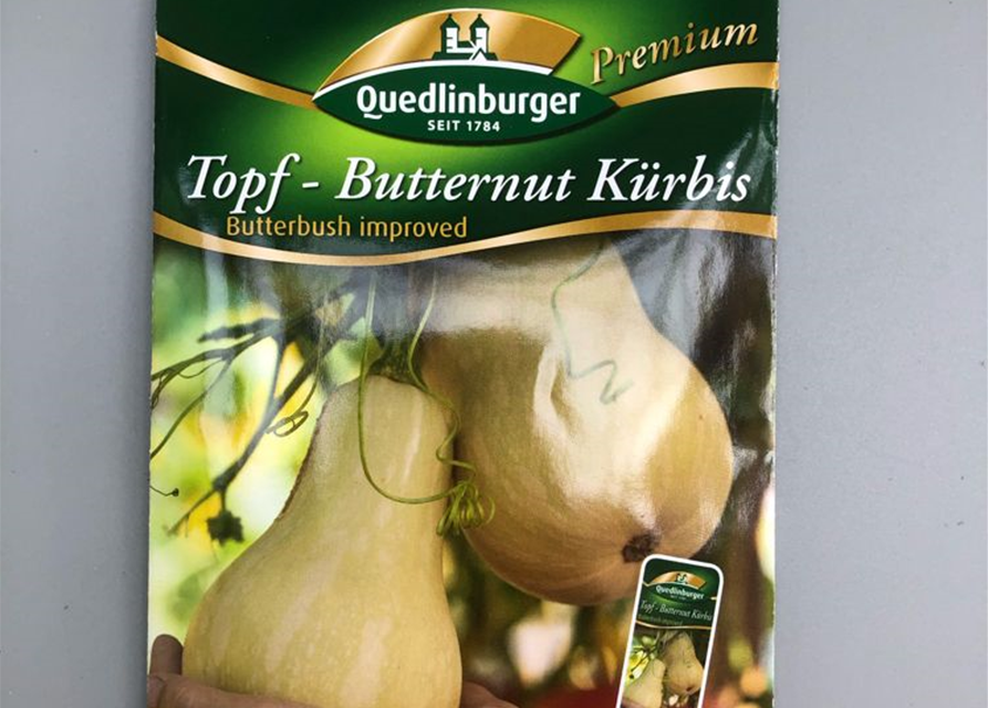 Kürbis Topf- Butternut