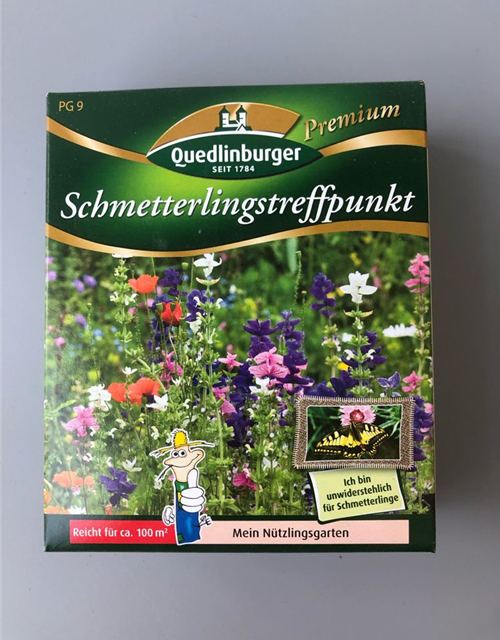 Schmetterlingstreffpunkt