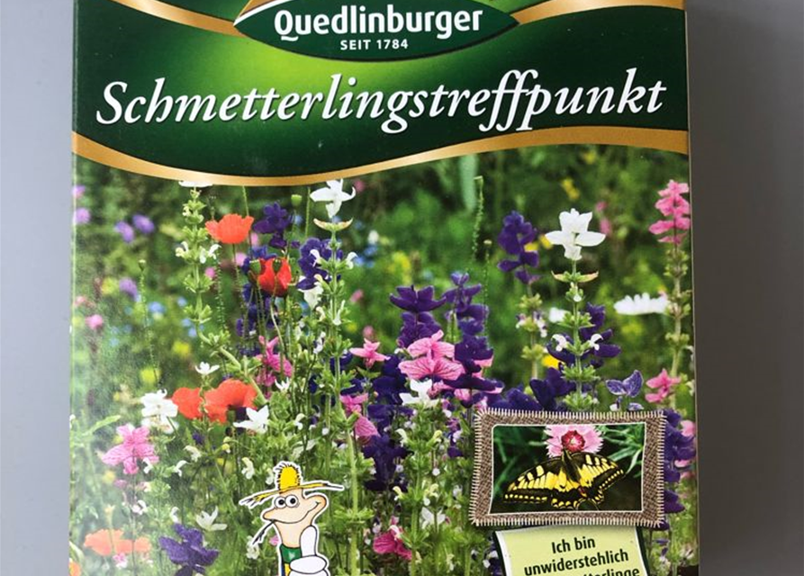 Schmetterlingstreffpunkt