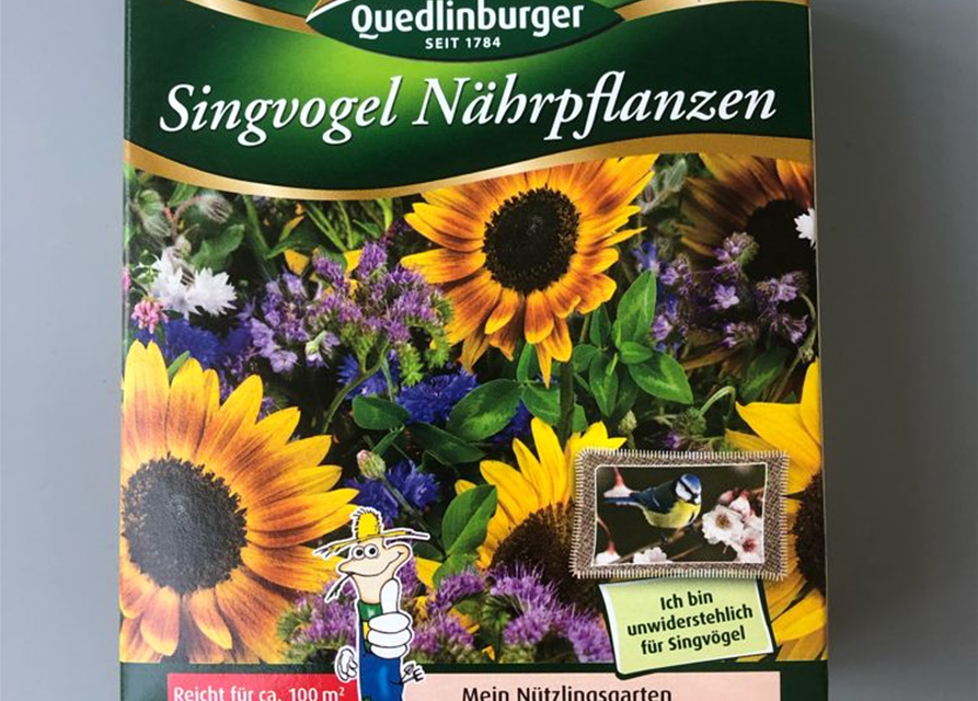 Singvogel Nährpflanzen