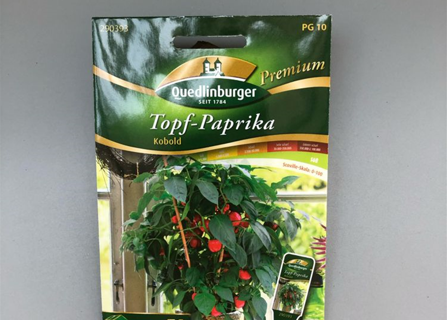 Topf-Paprika rot Kobold