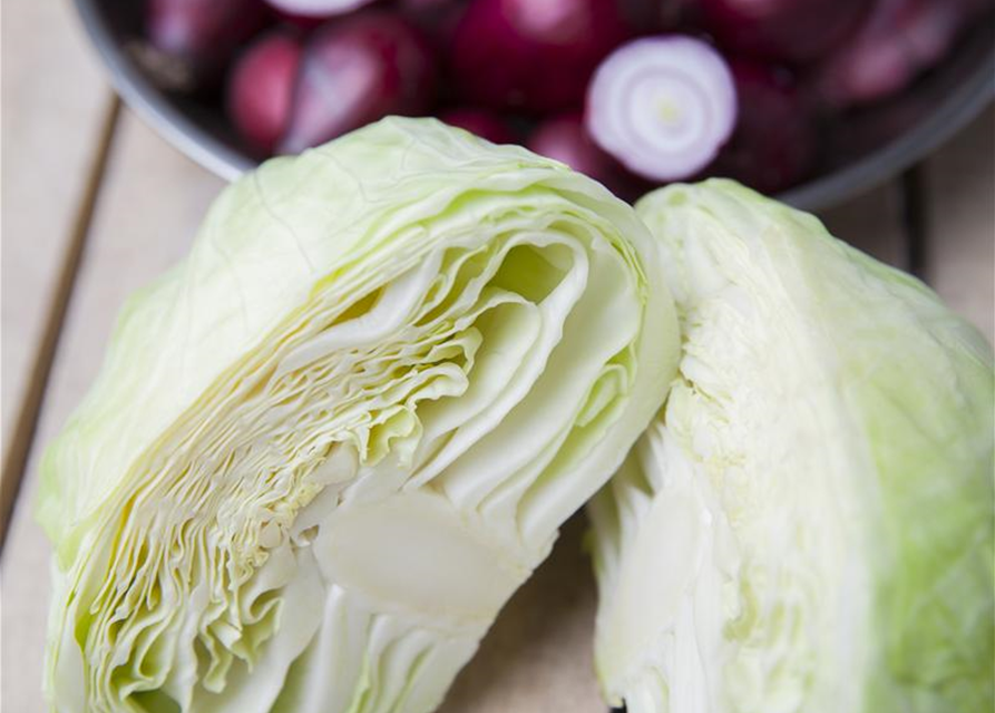 Brassica oleracea var. capita. Nozomi