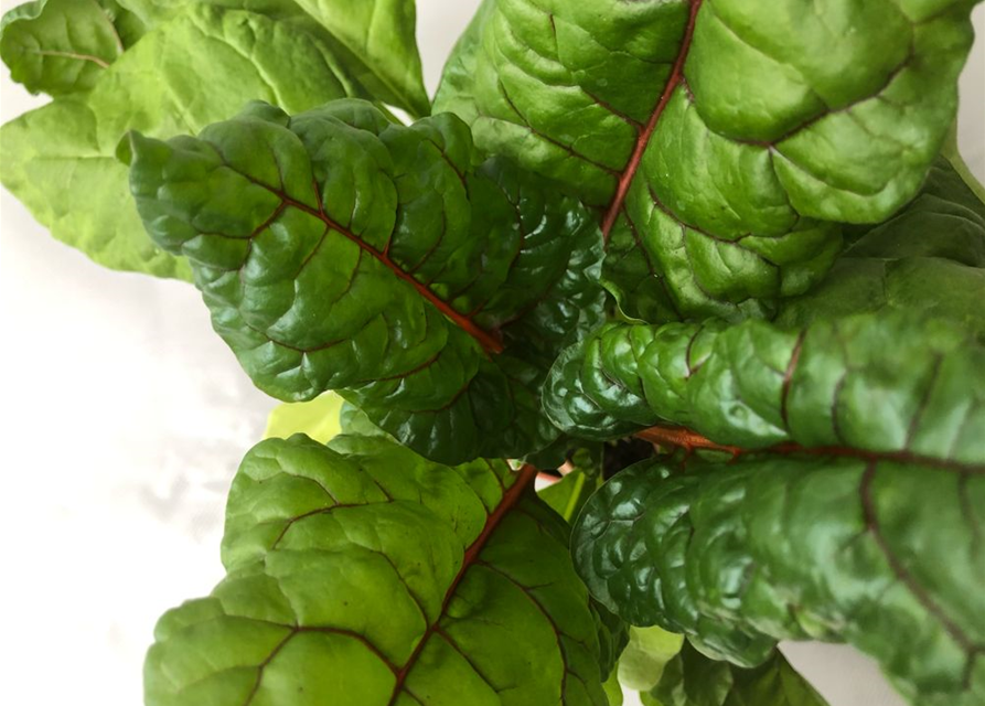 Beta vulgaris Bright Lights