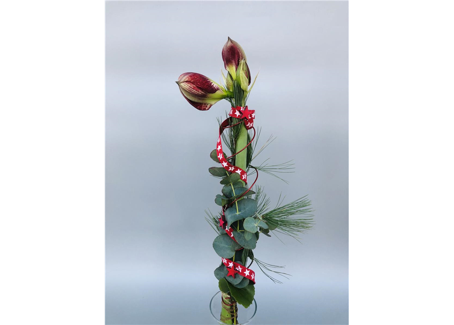 Strauß Nr.43 Weihnachten Amaryllis