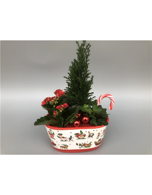 Weihnachts-Arrangement H35