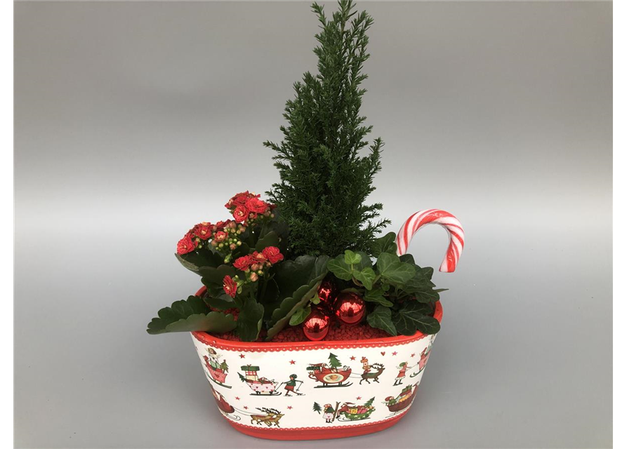 Weihnachts-Arrangement H35