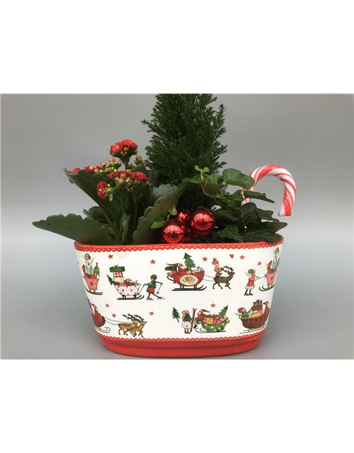 Weihnachts-Arrangement H35