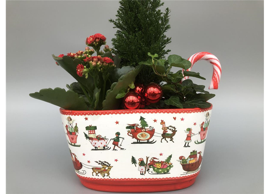 Weihnachts-Arrangement H35