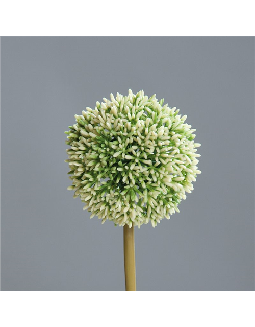 Allium Kunststoff creme Höhe 67cm