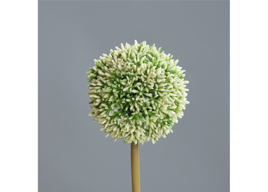 Allium Kunststoff creme Höhe 67cm