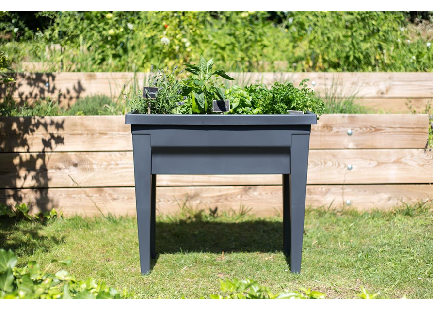 Hochbeet VEG&TABLE 76 x 38,5 x 68 cm - 57L