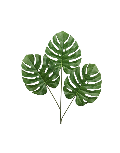 Monstera 47 x 2 x 76cm