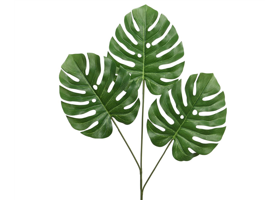 Monstera 47 x 2 x 76cm