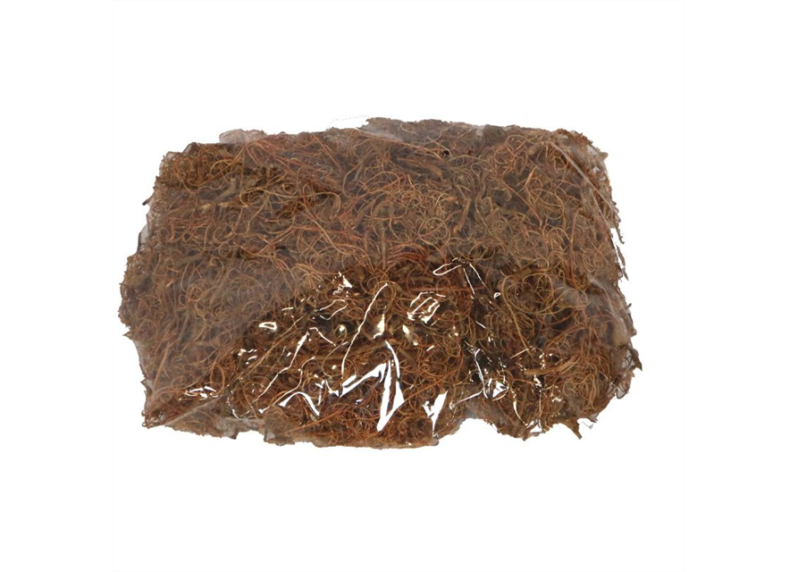 Moss curly 500gr