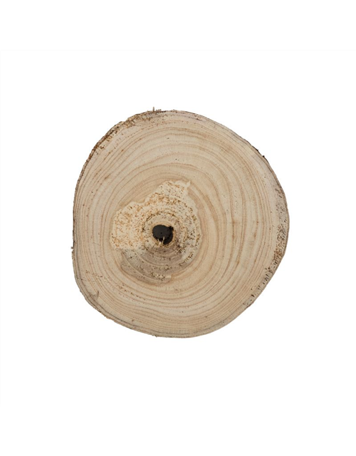 Holzscheibe Paulownia rund 20 x 20 x 3cm