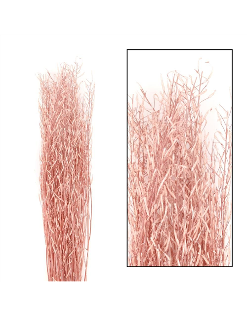 Saras branch 110cm 100gr Trockenblumen Salmon