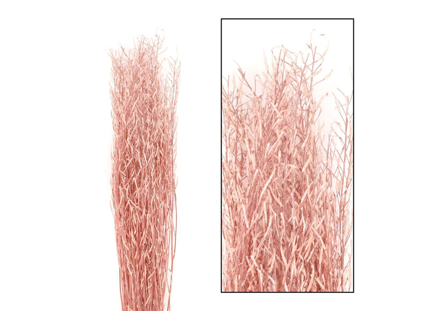 Saras branch 110cm 100gr Trockenblumen Salmon