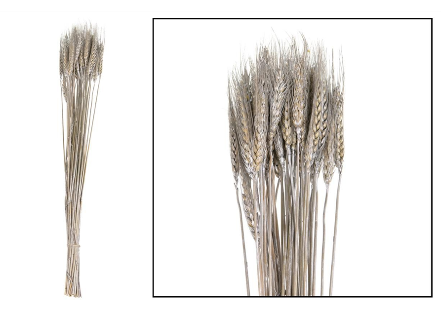 Wheat grass 60-65cm 100gr Trockenblumen Silver-Was