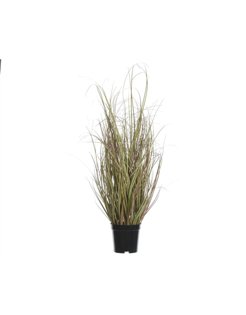 Gras im Topf H 63cm