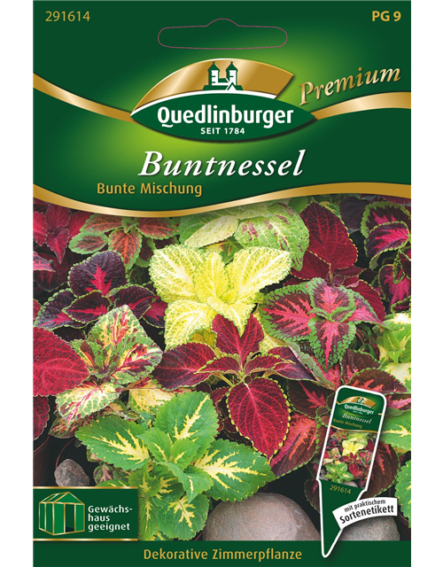 Buntnessel Bunte Mischung