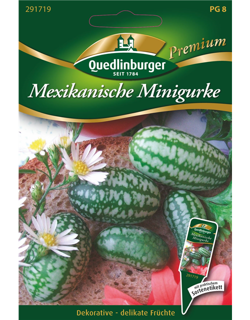 Gurken Mini- Mexikanische