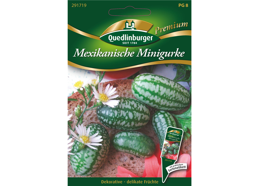 Gurken Mini- Mexikanische