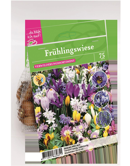 Blumenzwiebeln Frühlingswiese