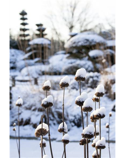 WEIHNACHTLICHE STIMMUNG IM GARTEN