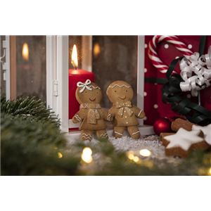 WEIHNACHTLICHE STIMMUNG IM GARTEN