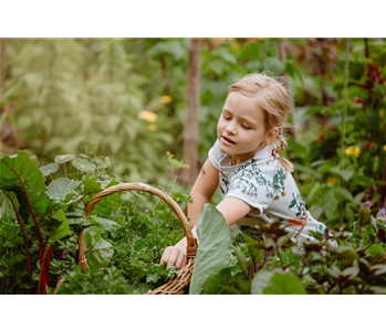 KINDER SPIELERISCH IN DIE ERNTE EINBEZIEHEN