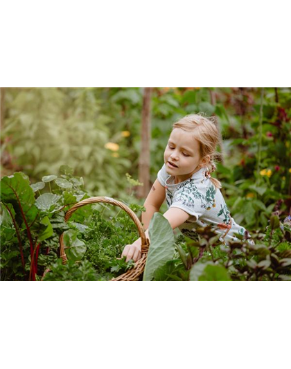 KINDER SPIELERISCH IN DIE ERNTE EINBEZIEHEN