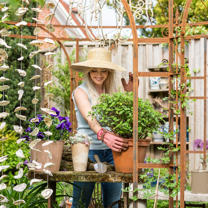 Töpfe bepflanzen im Garten